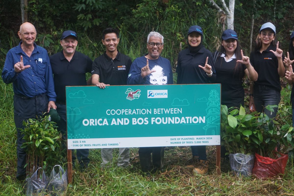 ORICA gandeng Borneo Orangutan Survival lestarikan habitat orangutan